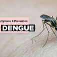 Dengue Fever Causes, Symptoms, and Prevention