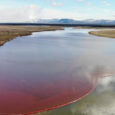 The River Turned Red: Norilsk Nickel Estimated The Total Cost Of The Damage