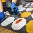6 Most Common Carpet Stains and How Can You Get Rid of It