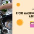 What A Food Handler Should Do Before Washing Dishes in A Dishwasher