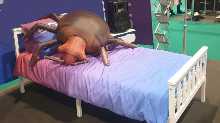 Facts-About-Bed-Bugs