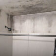 Cleaning and Maintenance Tips for Preventing Mould in Bathrooms
