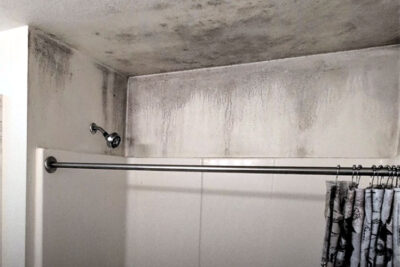 Cleaning and Maintenance Tips for Preventing Mould in Bathrooms