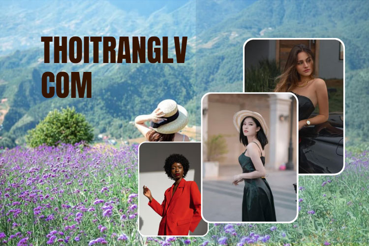 Thoitranglv.com Explained: An Overview of this Platform